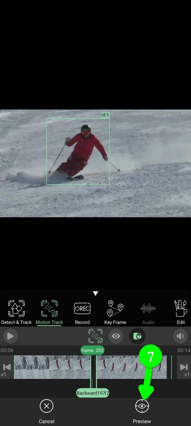 PutMaskで物体を追跡中のプレビューボタン
